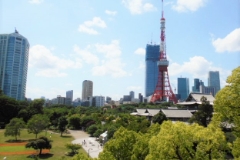 日比谷通りに面し、東京タワーや増上寺を中心にした芝公園地区の緑豊かな落ち着いた環境